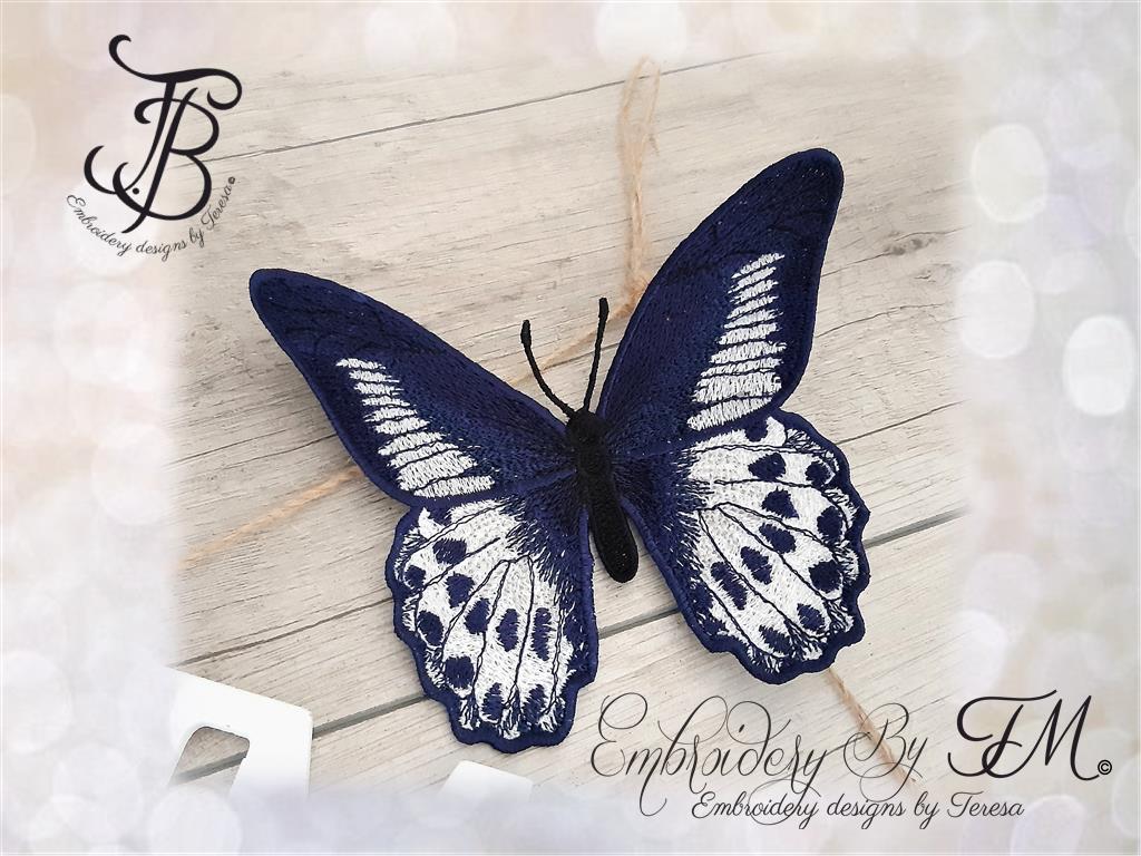 Blue Mormon butterfly No.22/ 5x7 hoop