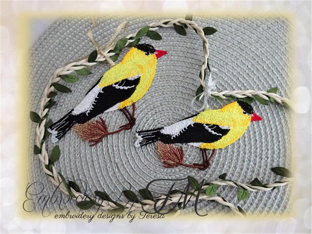 American Goldfinch bird / two sizes