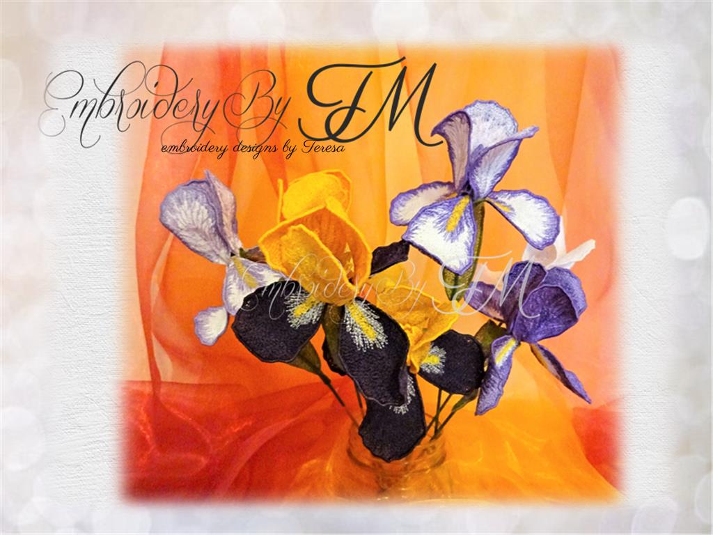 Iris flower FSL/ two sizes/ five color variations