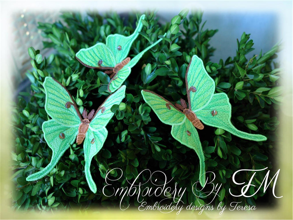 Luna Moth FSL / two sizes/ 4x4 and 5x7 hoop