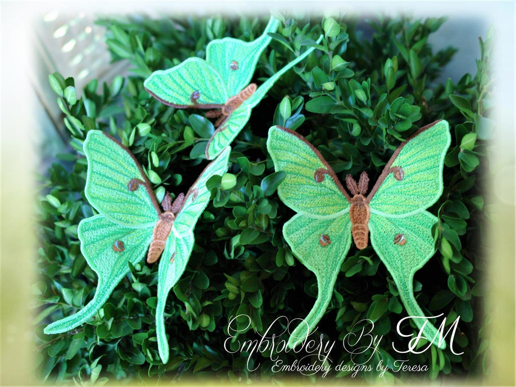 Luna Moth FSL / two sizes/ 4x4 and 5x7 hoop