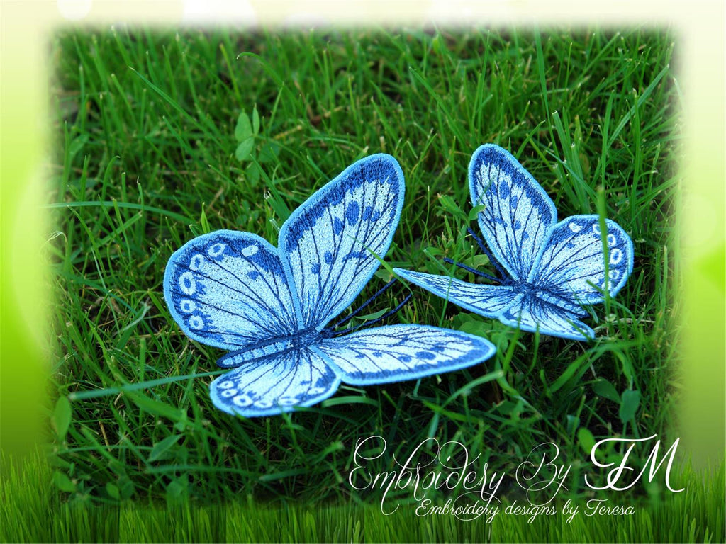 FSL Butterfly No. 12 / two sizes / 4x4 and 5x7 hoop